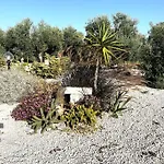 Casa Degli Ulivi Villa