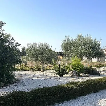 Casa Degli Ulivi * 테를리치