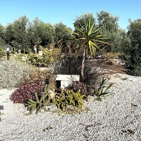 Casa Degli Ulivi Vila