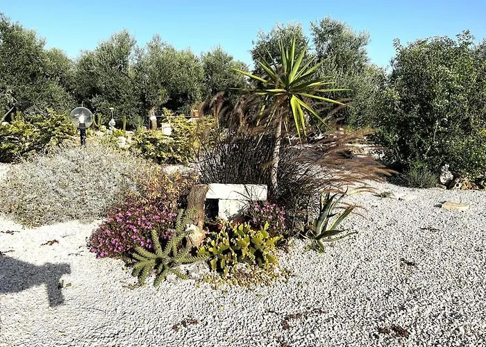 Casa Degli Ulivi 빌라